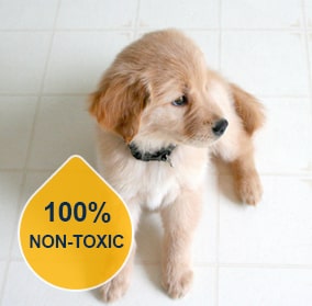 Non-Toxic Cleaners