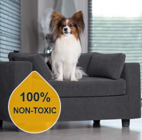 Non-Toxic Cleaners